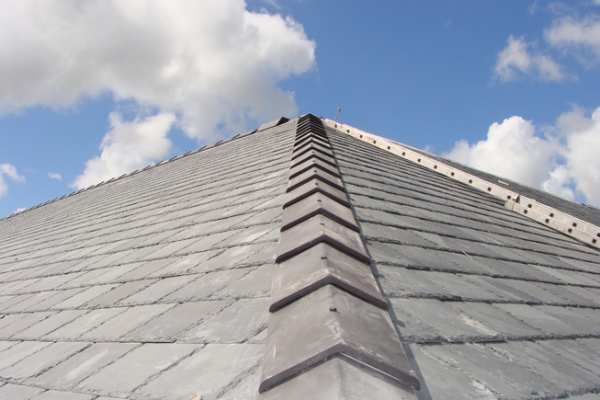 new-housing-1FECD522B-83BB-6575-18E8-704F7E7E6C4A.png